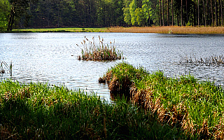 Rezerwat Sołtysek trzykrotnie zwiększył swoją powierzchnię
